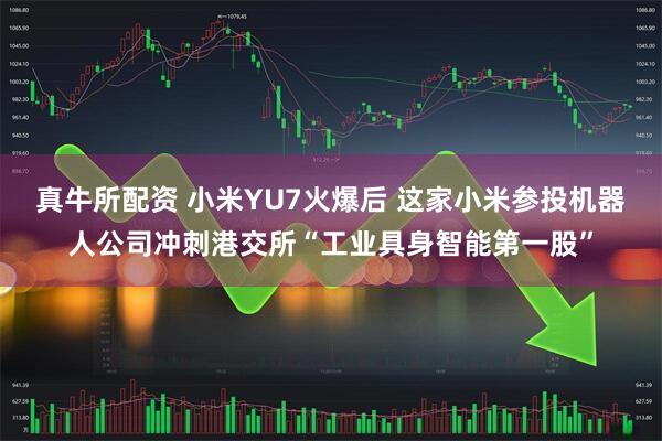 真牛所配资 小米YU7火爆后 这家小米参投机器人公司冲刺港交所“工业具身智能第一股”